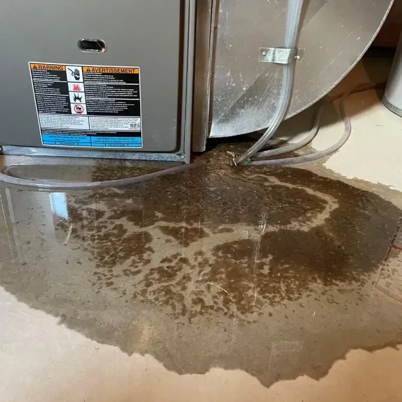 Appliance Leak Cleanup in Sublimity, OR